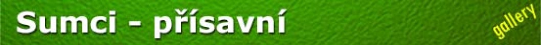 Sumci - prisavni